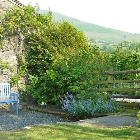 Bluebell Sedbergh
